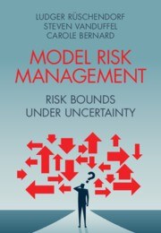 Model Risk Management: Risk Bounds under Uncertainty